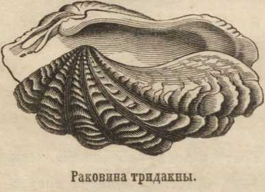 Кракен через тор
